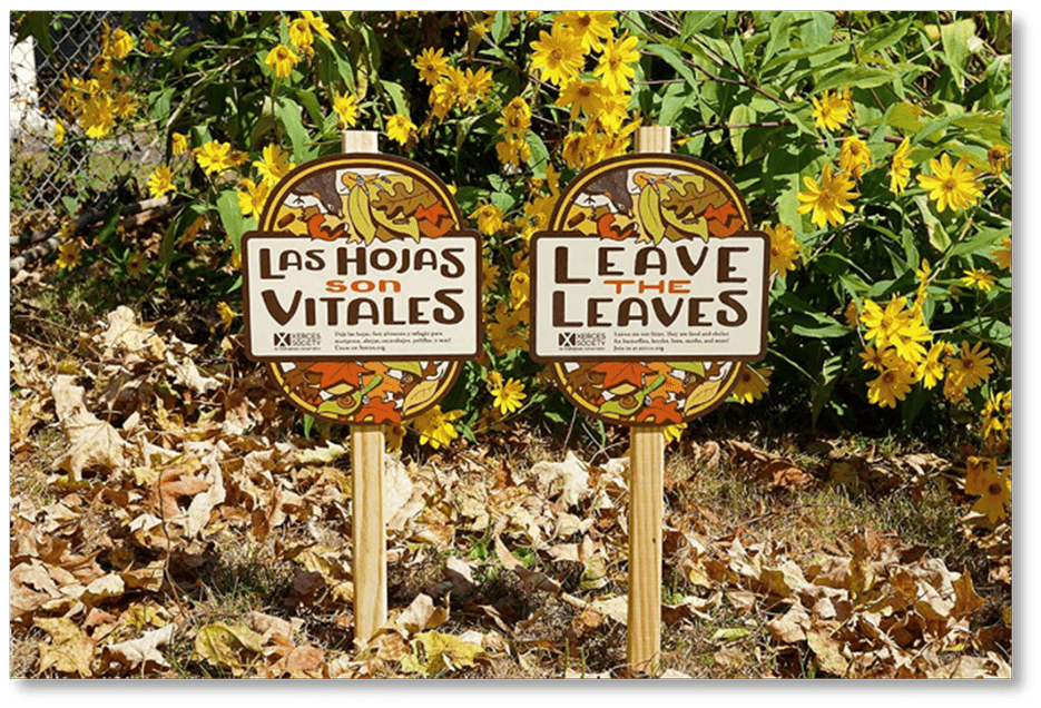 Leaving the leaves can boost the health of your backyard ecosystem in many different ways.  (Photo: Kailee Slusser / Xerces Society)