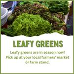 social media graphic 