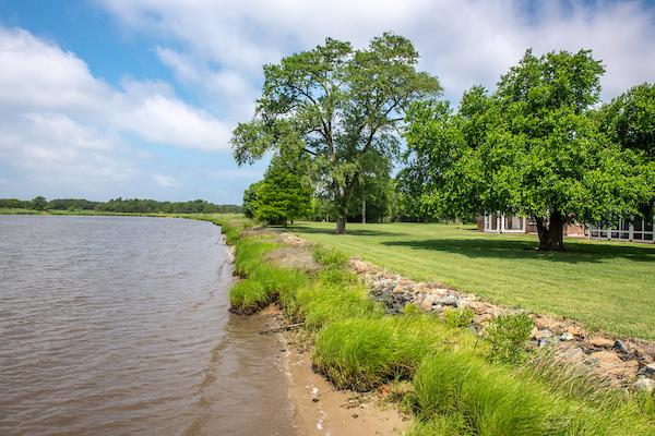 An image of the Chesapeake Bay meeting a small section of shore that transitions into grass and trees 