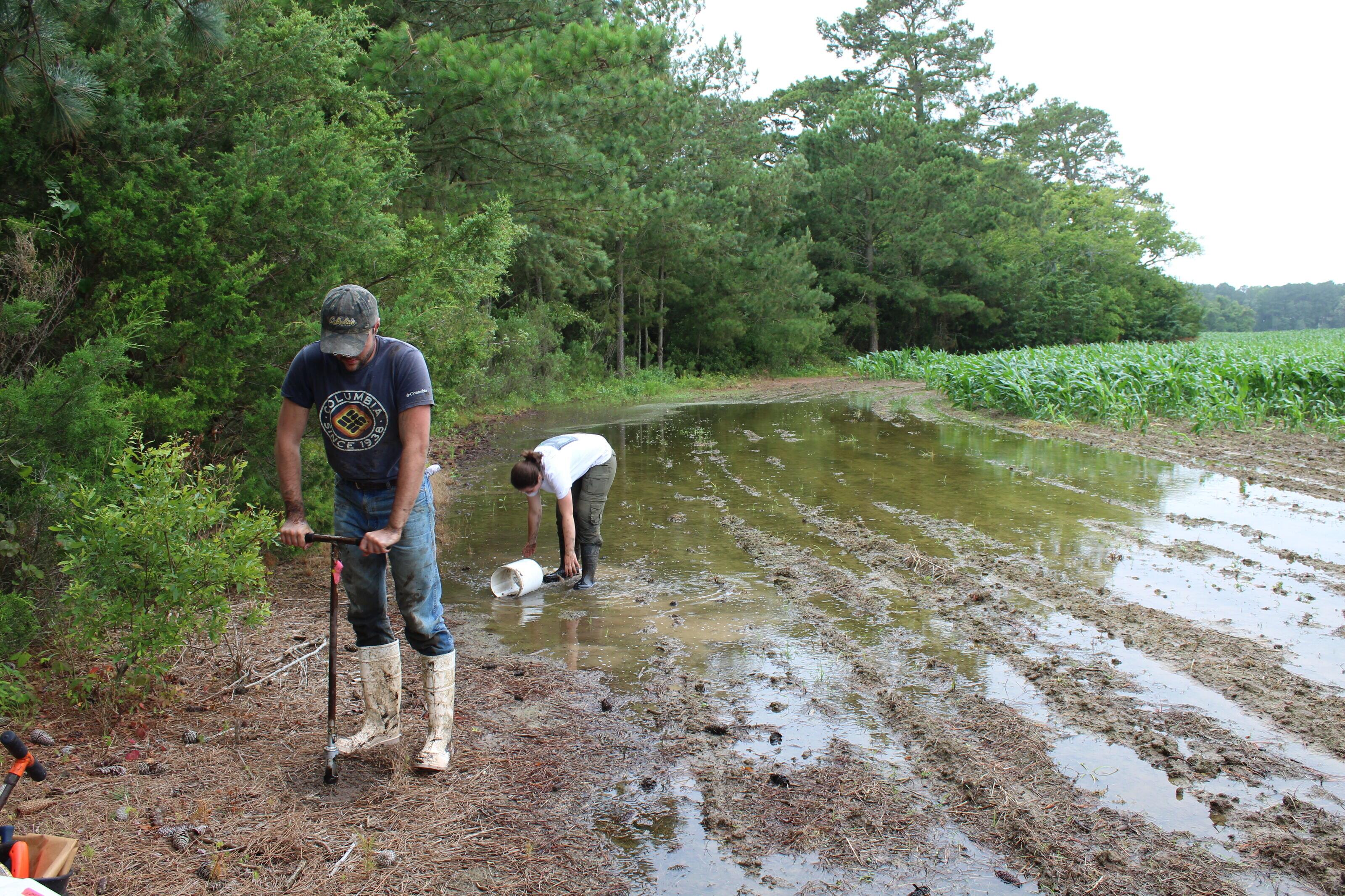 Two researchers surveying standing water on a field