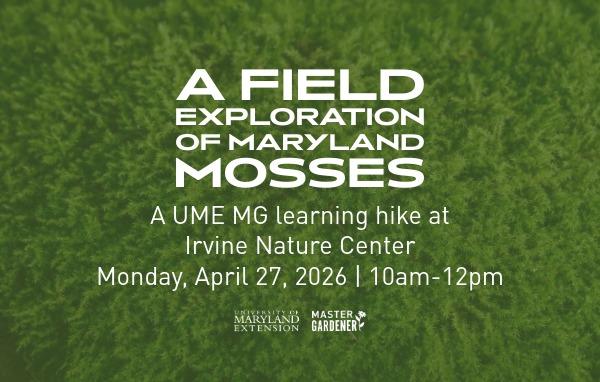 a field exploration of Maryland mosses