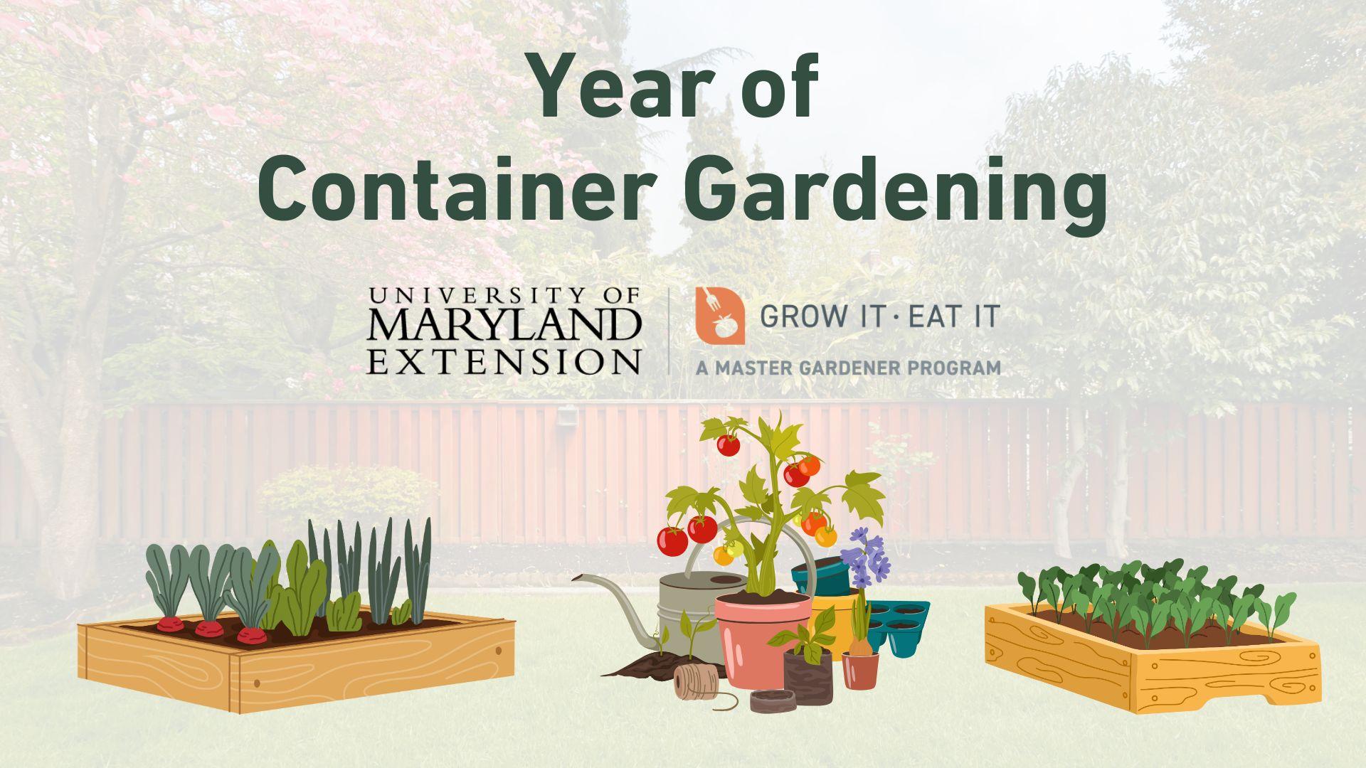 Different raised beds and containers for growing vegetables