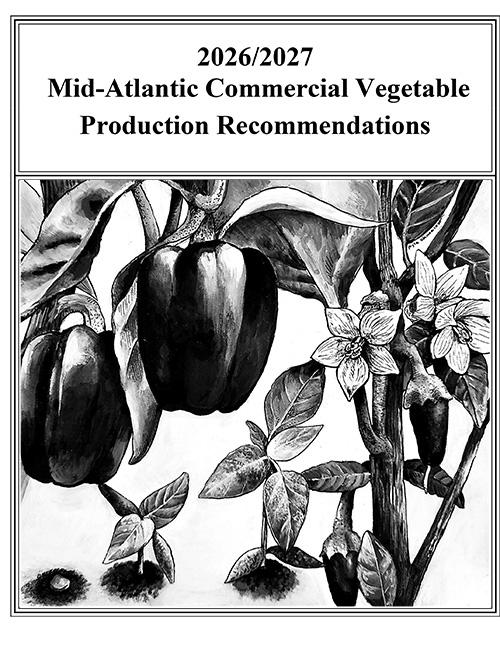 Commercial Vegetable Recommendations 2026 Cover image