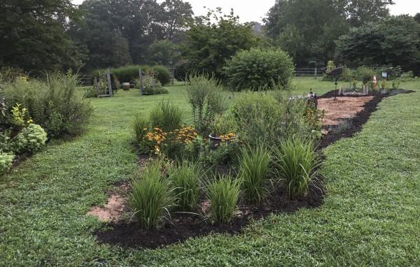 A large sunny lawn area interspersed with islands of perennial planting beds.