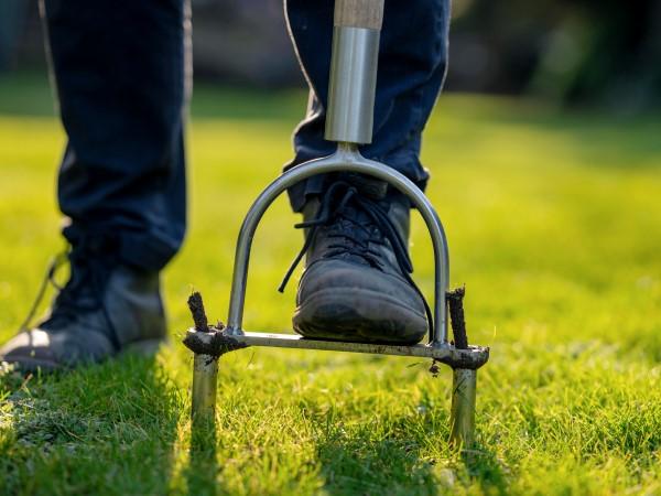 Two-tined manual core aerator. A person's foot is stepping on the platform that pushes the tines on either side into the soil.