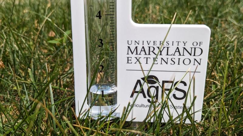 A glass tube rain gauge with one-inch increment markings, held upright in a plastic support frame inserted into a lawn.