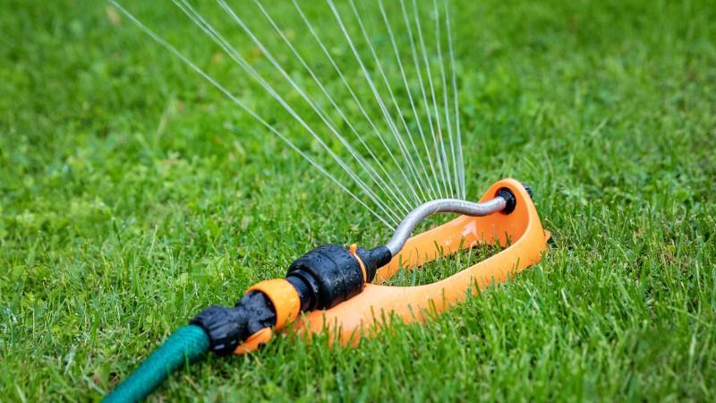 Oscillating style lawn sprinkler attached to a garden hose, watering a lawn.