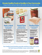 Healthy Donations Flyer