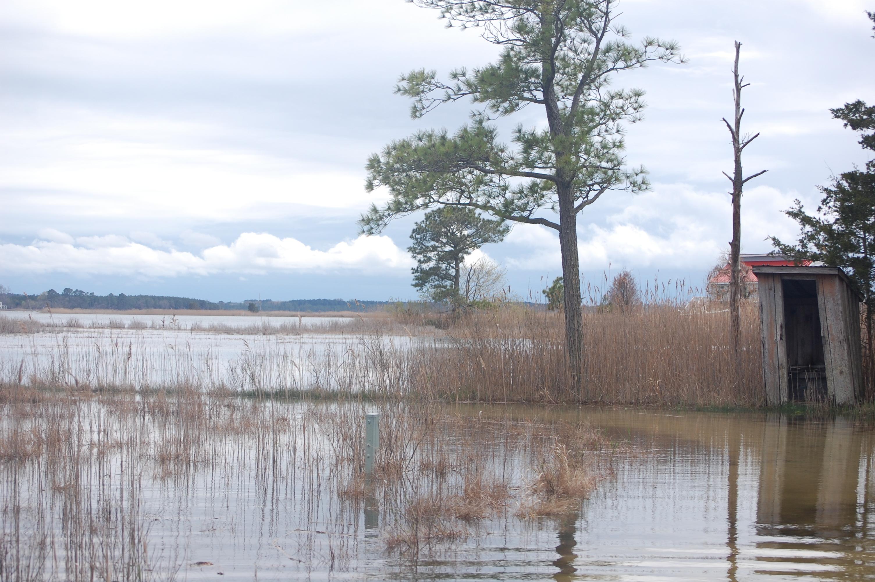 flooded landscape with a out house in view