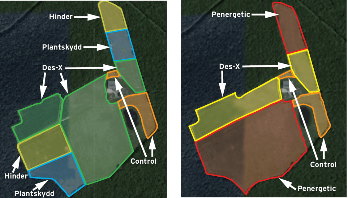 Repellent study layout using Hinder, DES-X, and PlantSkydd in 2023 (left), and Repellent study layout using DES-X, and Penergetic in 2024 (right).