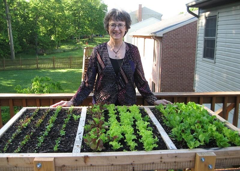 A variety of salad greens at different stages of growth in a Salad Table on a home deck.