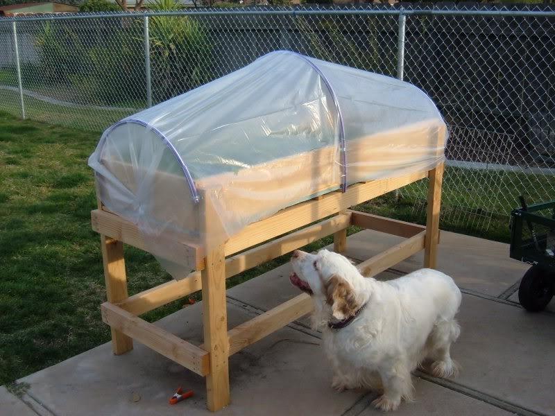 Salad Table with a deeper planting area and three metal arches attached to the frame, covered in translucent plastic.