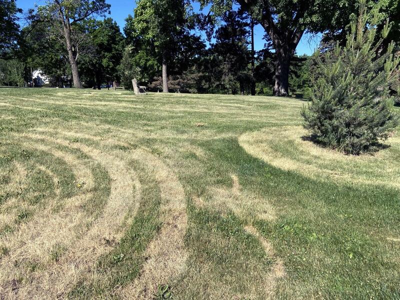 An expanse of lawn with distinct tire pathways visible as pale, brown stripes of turf.