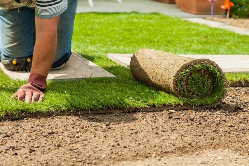 A person unrolls a roll of sod onto bare soil, pressing it down with their hands as they go.