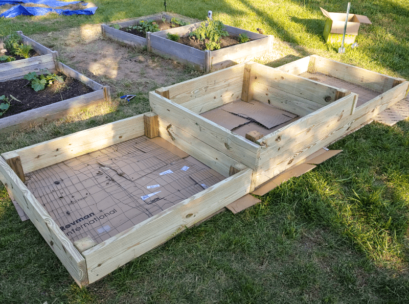 Flat cardboard pieces laid on the grass underneath empty wooden raised beds of different depths.