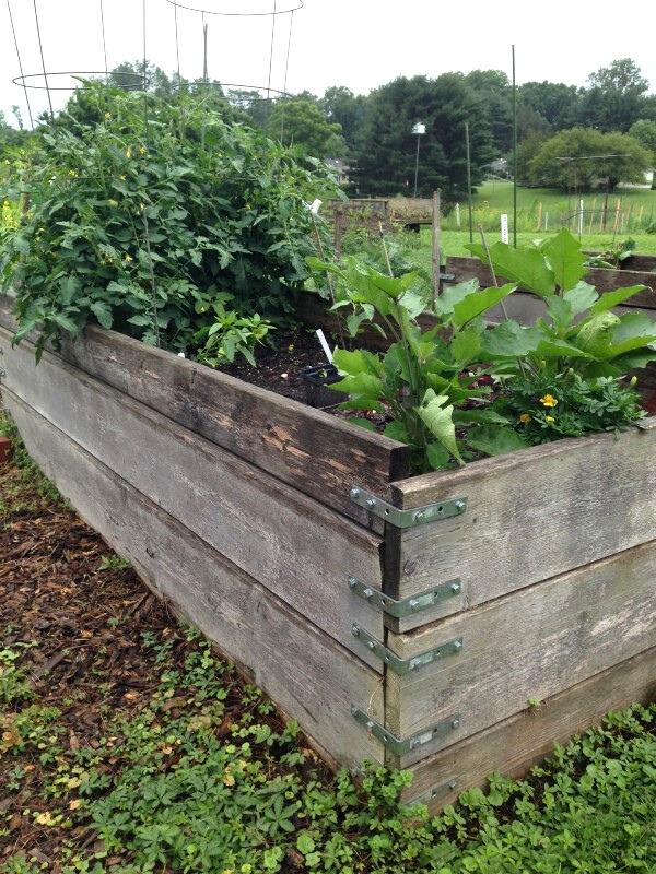 Wooden raised bed built from salvaged lumber anchored at the corners with metal brackets.