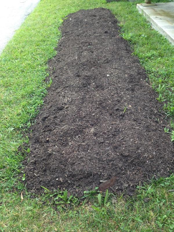 A low mound of compost on top of a strip of cardboard-covered lawn.