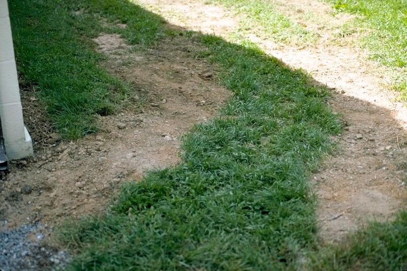 A section of lawn at the corner of a home and driveway with two distinct parallel paths worn into the turf. The wear is so severe that only bare soil is left.