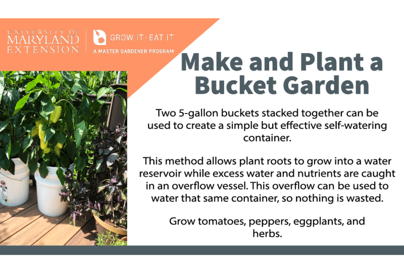 Screenshot of a PowerPoint slide about making and planting a bucket garden.