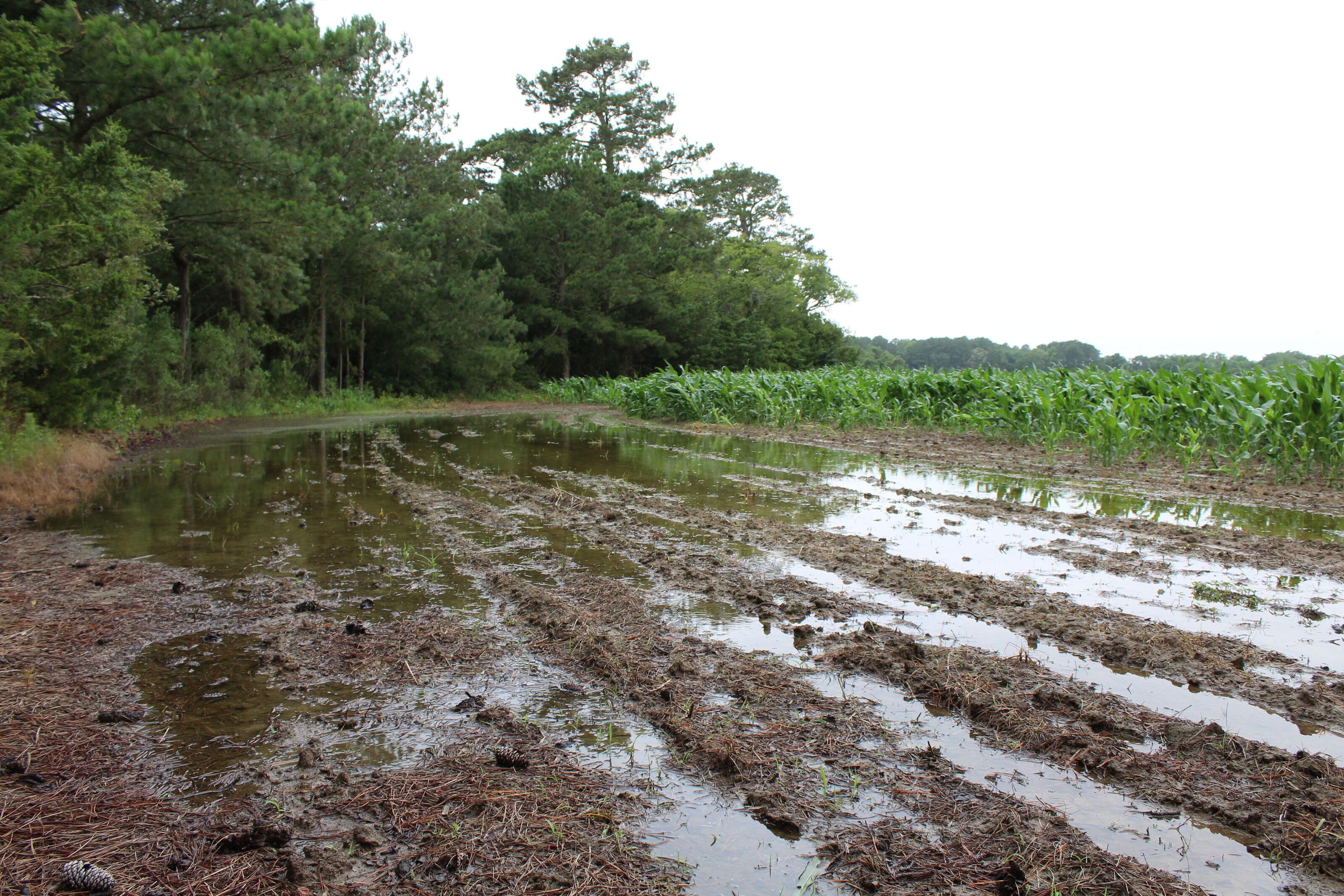 Agricultural field Inundated with Water (Photo: Paul Leoni)