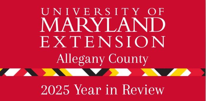 Allegany County 2025 Year in Review