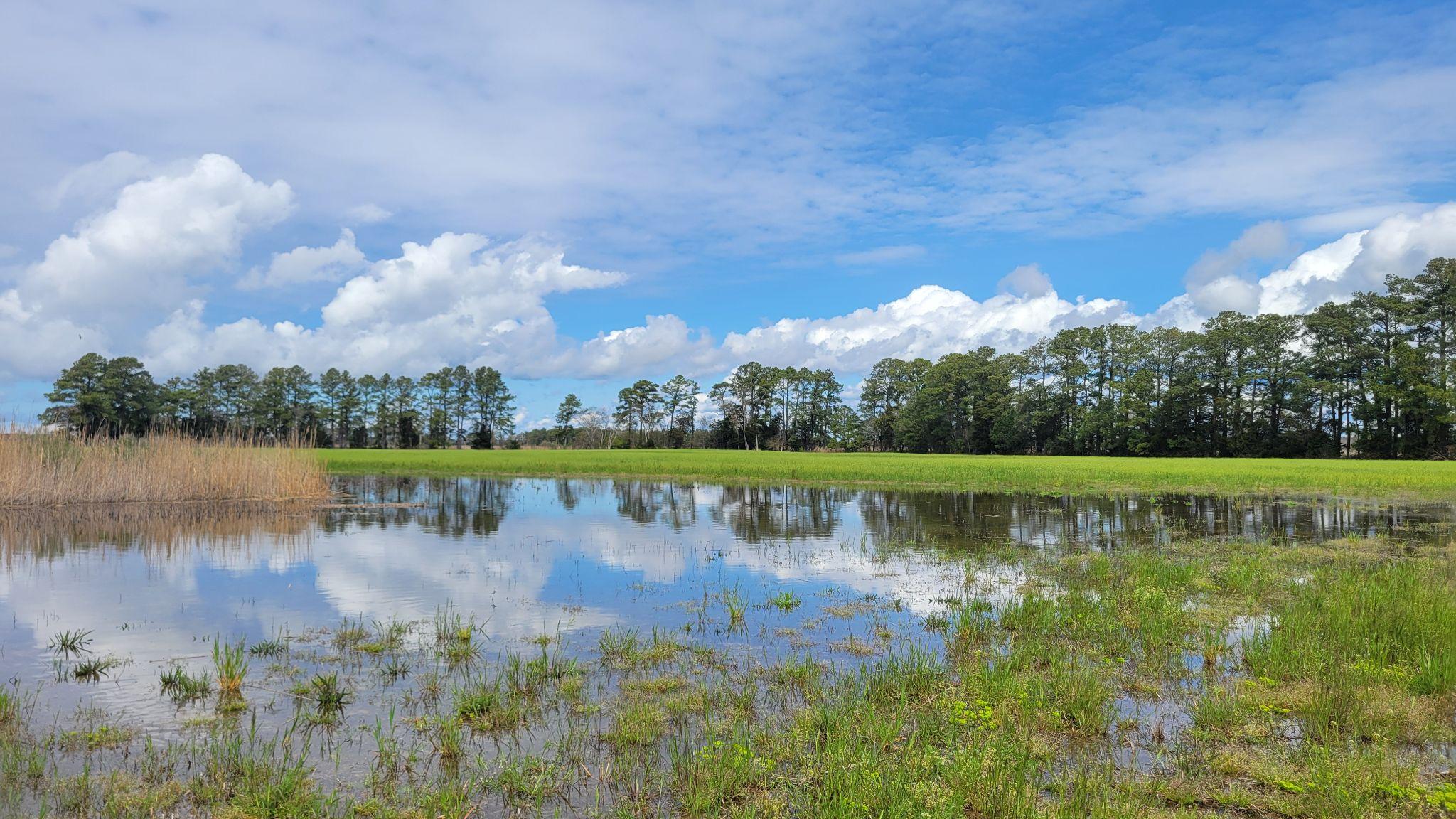 Coastal flooding in Virginia 