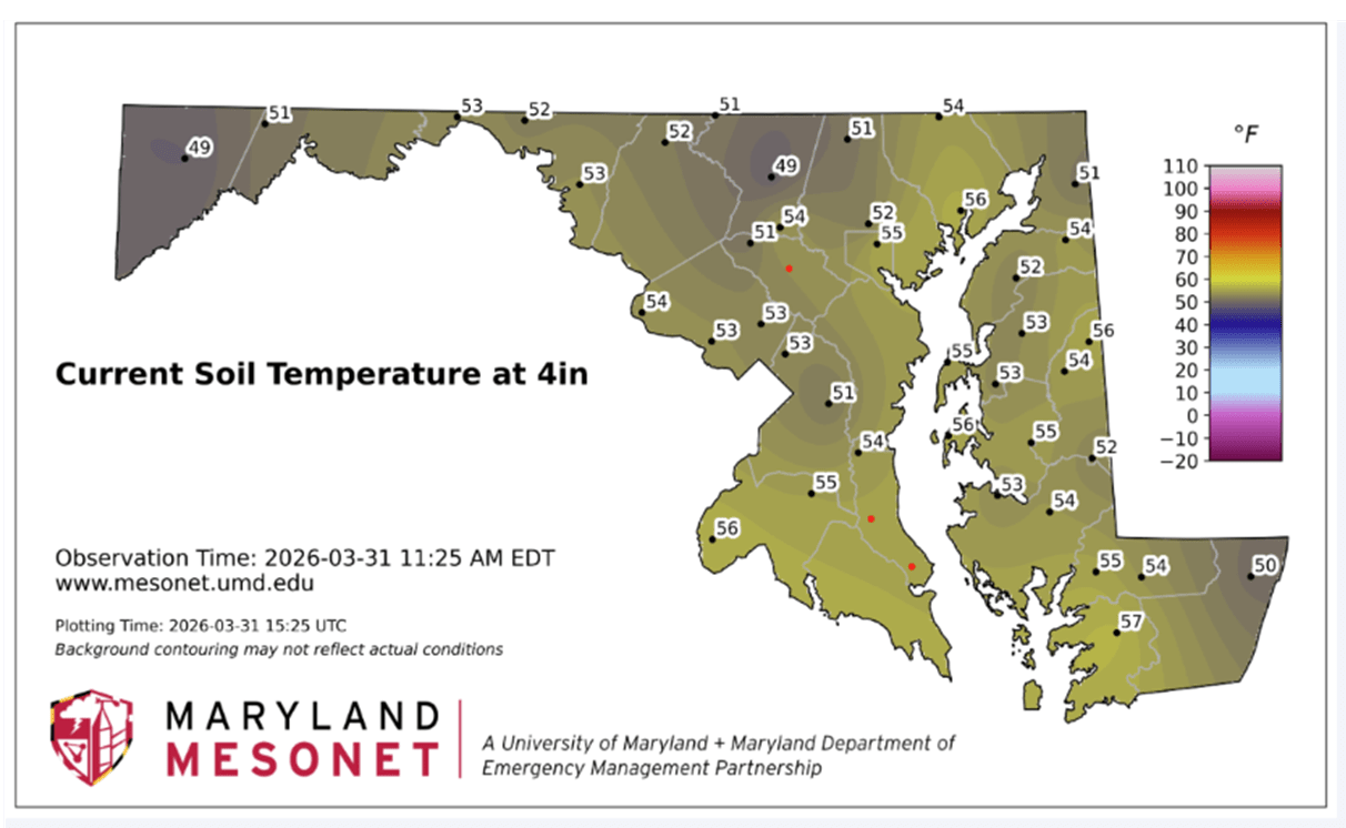 Map of Maryland showing current soil temperatures at 4 inches deep with temperatures ranging from 49°F to 56°F. Color gradient bar on the right.