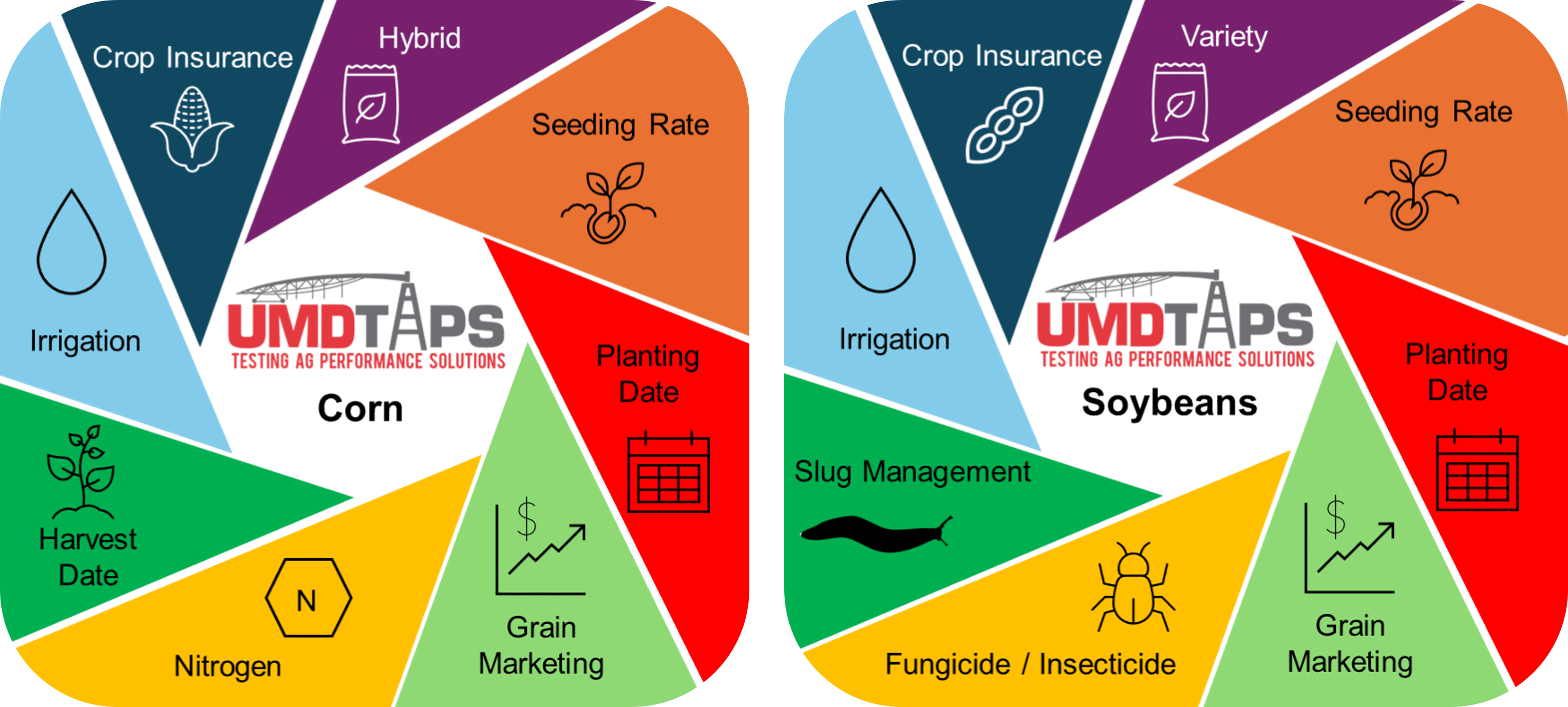 Two colorful pie-style infographics comparing management factors for corn and soybeans, labeled “UMD TAPS Testing Ag Performance Solutions.” The corn chart includes crop insurance, hybrid selection, seeding rate, planting date, grain marketing, nitrogen, harvest date, and irrigation. The soybean chart includes crop insurance, variety selection, seeding rate, planting date, grain marketing, fungicide/insecticide use, slug management, and irrigation, with icons representing each category.