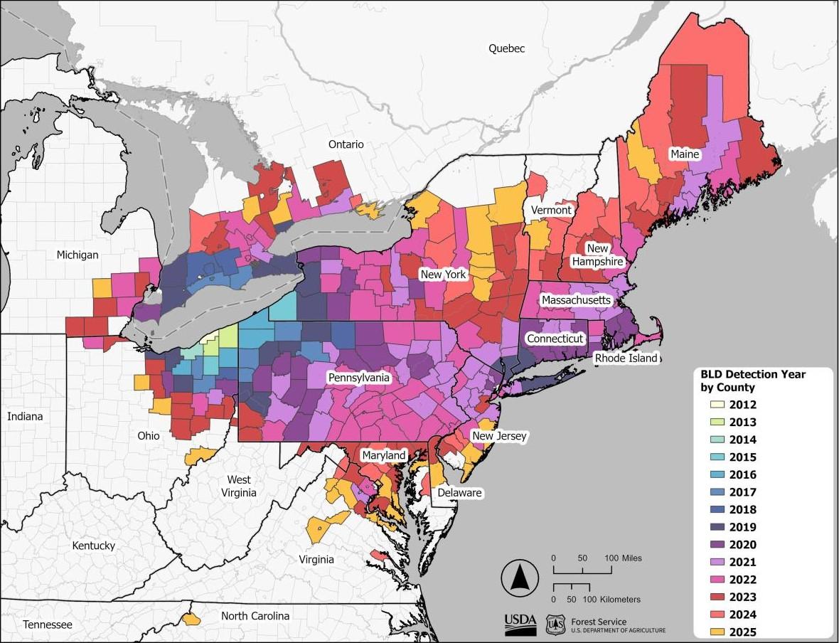 County-level range map color-coded by year of detection for Beech Leaf Disease in the U.S.