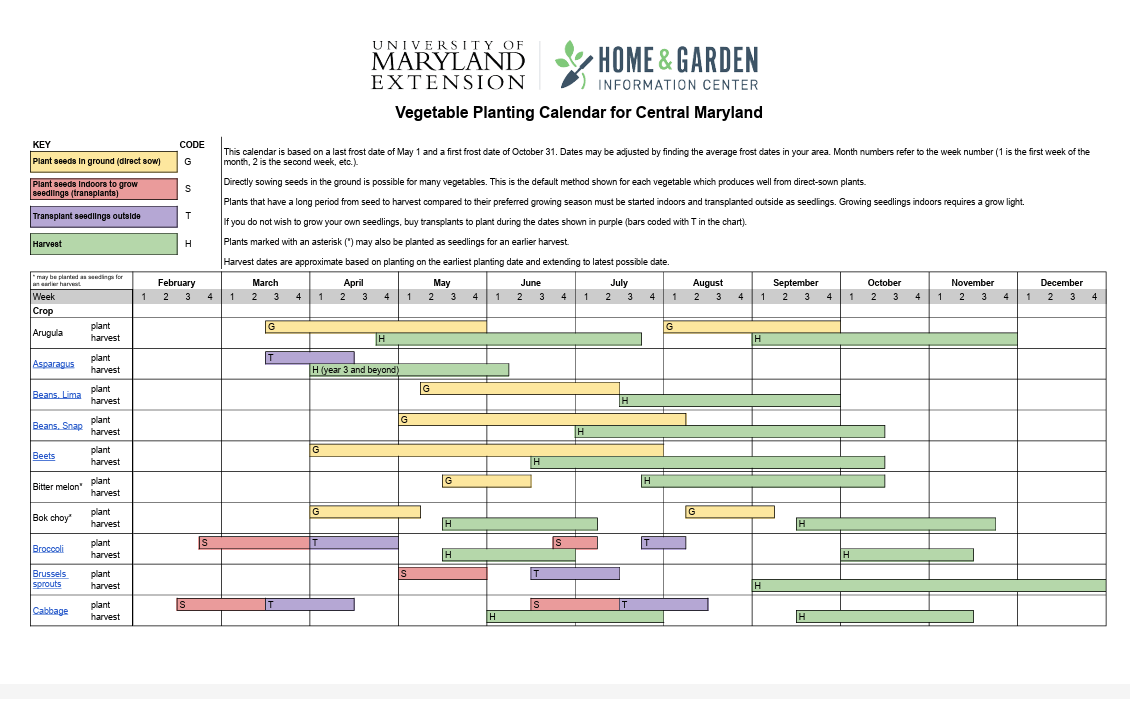 Thumbnail of the first page of the vegetable planting calendar chart.