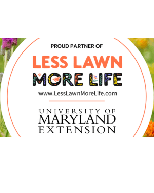 Less Lawn More Life
