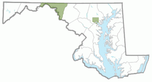 Bee-bee tree reported distribution.  From Maryland Biodiversity Project.