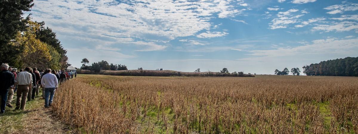 A line of people walk along a dirt path at the edge of a large, brown field, with trees to the left and a wide, partly cloudy sky stretching over the open landscape.