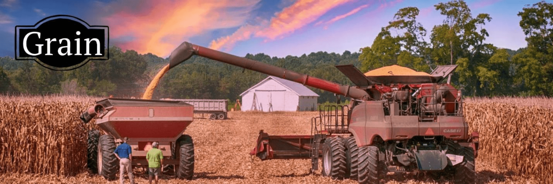 A combine harvester unloads grain into a wagon in a cornfield, with two people standing nearby and a label reading “Grain.”