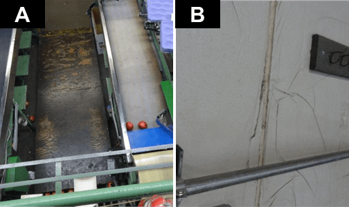 Panel A: Industrial processing area with a conveyor carrying red produce; surrounding surfaces appear wet and soiled. Panel B: Interior wall with long cracks, staining, and a pipe, showing damage and wear.