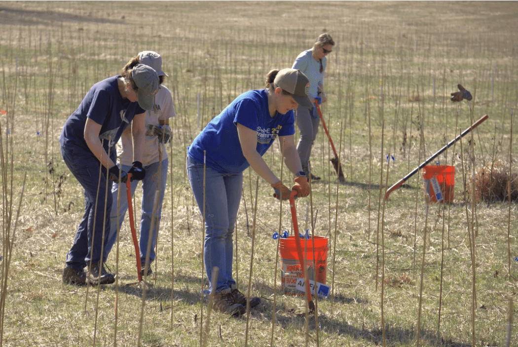 SERC ecologist Jamie Pullen and volunteers use dibble bars to plant trees. Photo by Sergio Ibarra/smithsonianmag.com