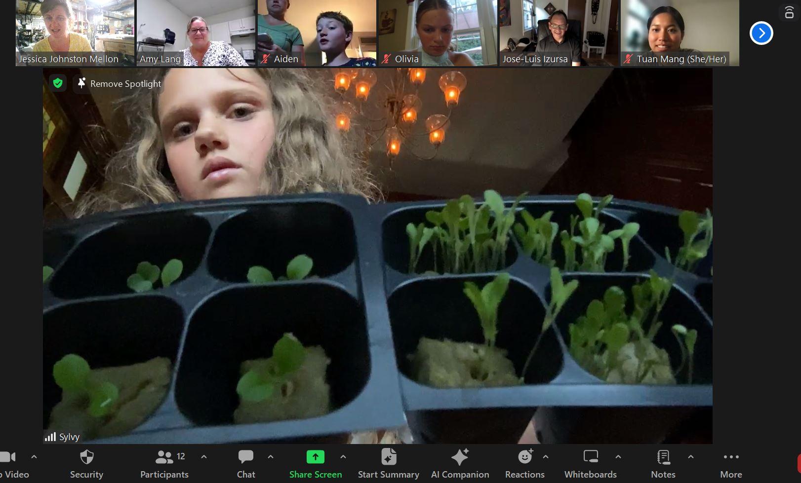 Screenshot of a virtual meeting showing multiple participants across the top of the screen while one participant shares a close-up view of seedling trays with young green sprouts growing in small compartments. The participant is indoors beneath a chandelier, holding two black planting trays toward the camera. 