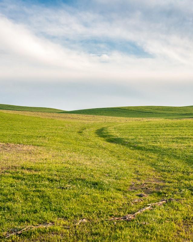 Agricultural field with low, rolling green hills and a faint path cutting through the grass beneath a bright, partially cloudy sky.