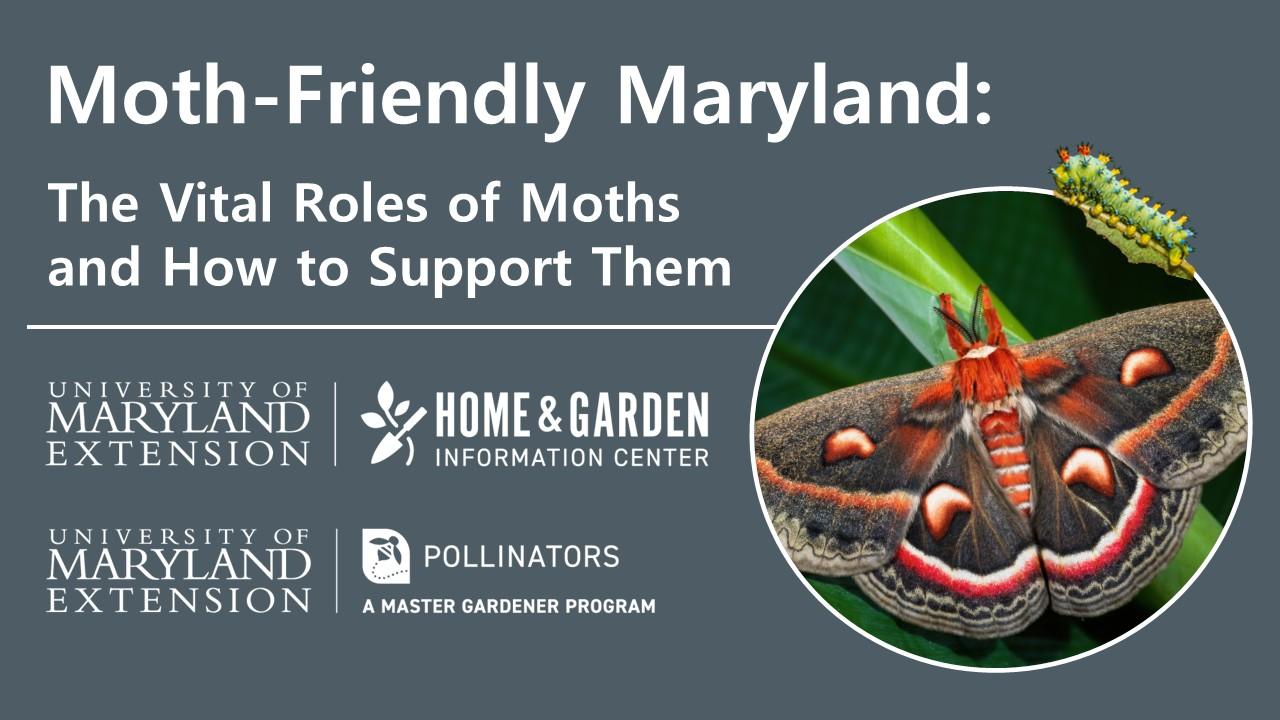 moth friendly Maryland