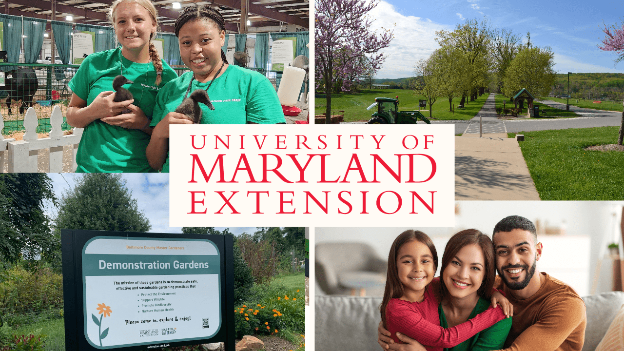 Collage of four images featuring Baltimore County Extension initiatives with red UME logo in the center