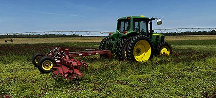 John Deere tractor pulling roller crimper implement through approximately 1 foot tall flowering crimson clover. Clover in the foreground has already been crushed and is lying flat.