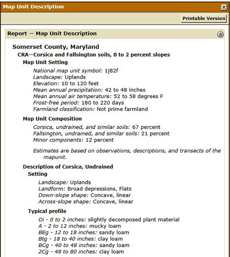 A screenshot of a report describing Corsica and Fallsington soils from Somerset County, Maryland.