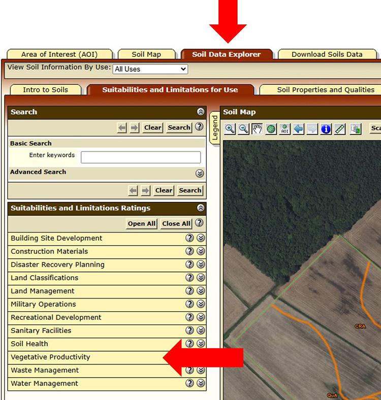 A screenshot of the “Soil Data Explorer” tab and the “Suitabilities and Limitations for Use” sub-tab. Red arrows point to "Soil Data Explorer" tab and "Vegetative Productivity" category.