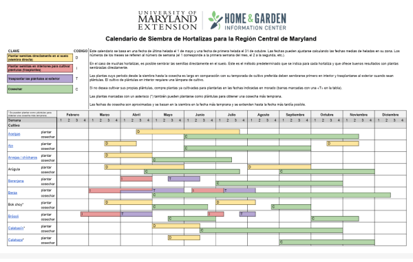 Thumbnail of the first page of the vegetable planting calendar chart (Spanish version).