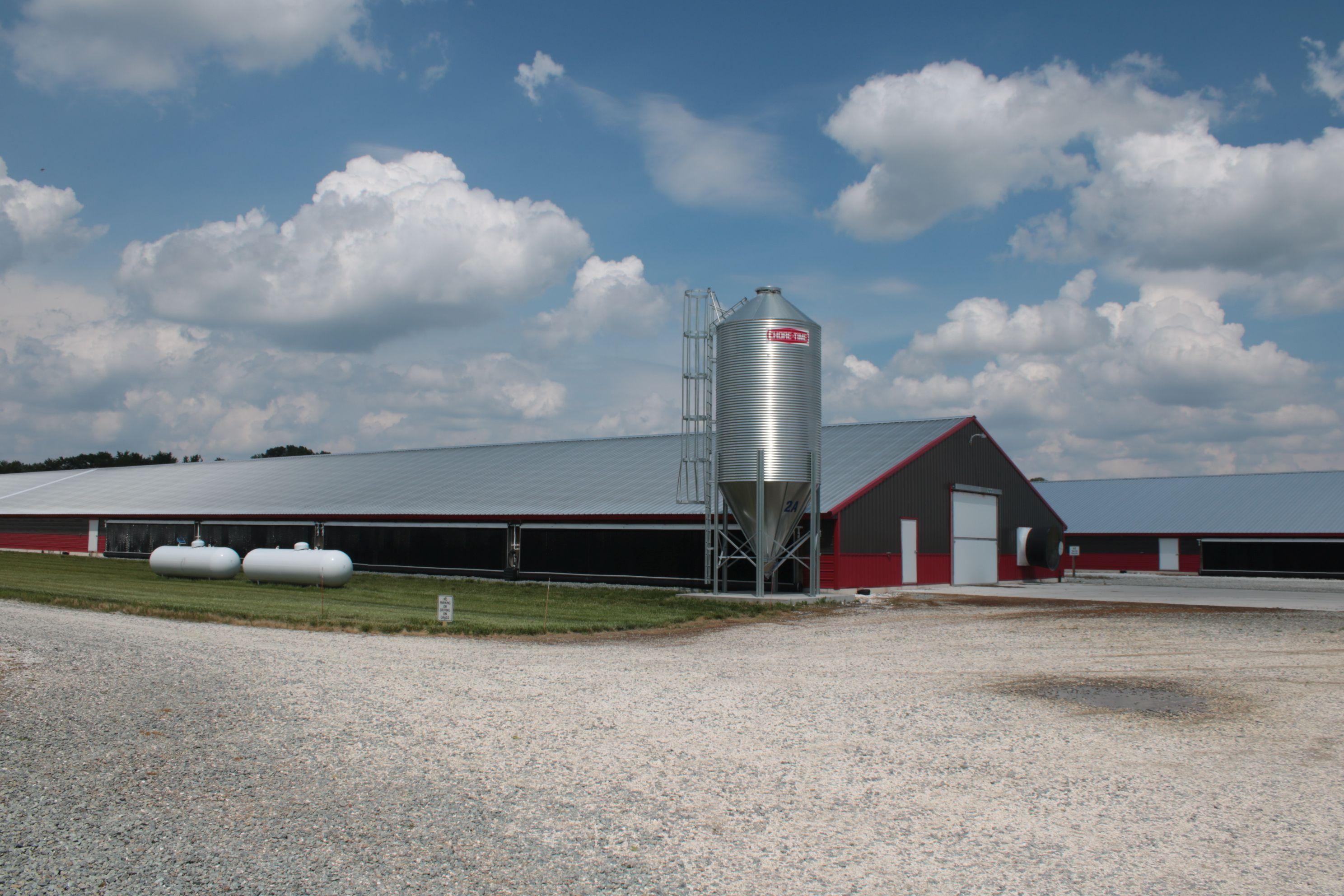 commercial poultry house