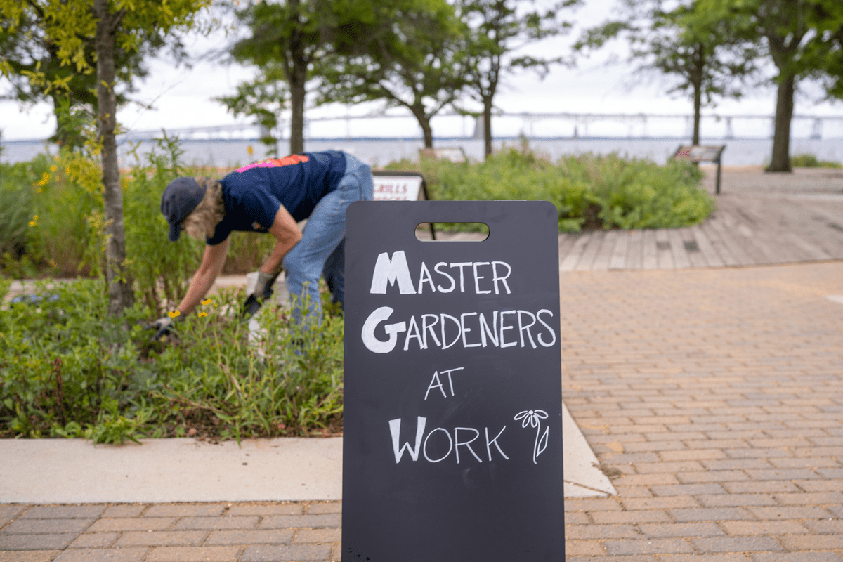  a sign reading Master Gardener At Work stands in the foreground