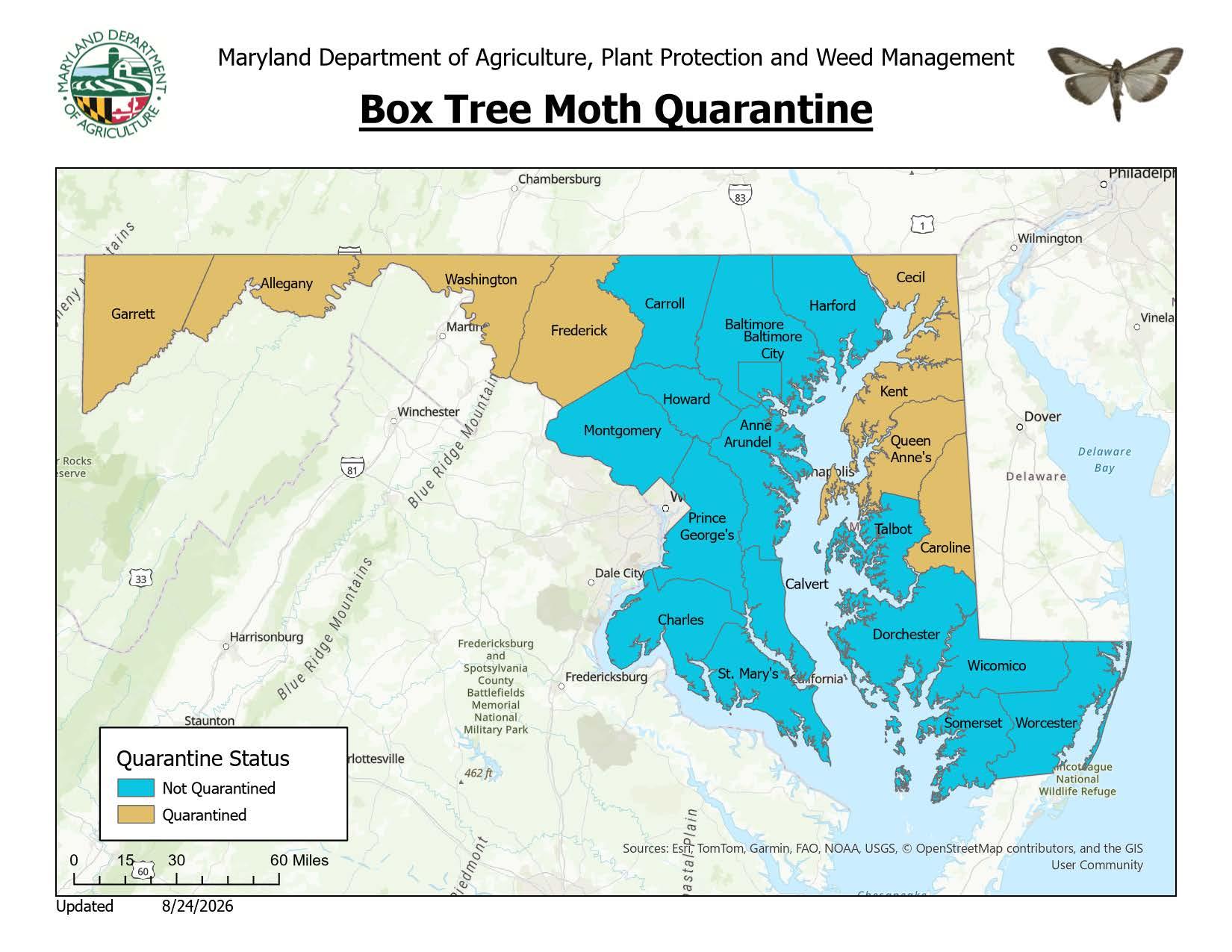 A map of Maryland indicating the counties that are under a quarantine for box tree moth: Allegany, Caroline, Cecil, Frederick, Garrett, Kent, Washington, and Queen Anne's Counties.