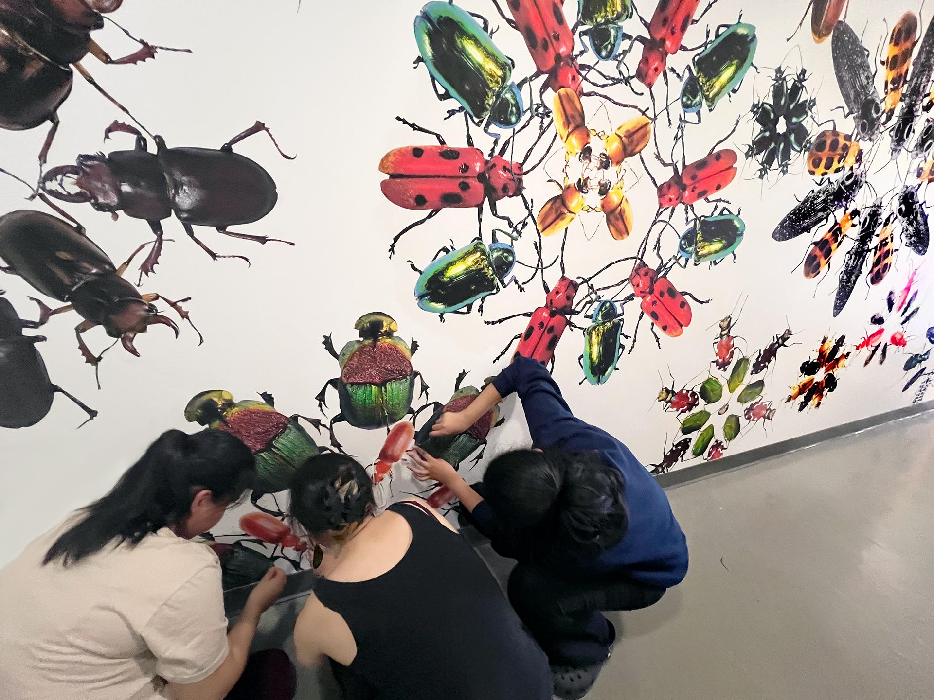 Undergraduates at Augustana College putting up a beetle mural on a wall.