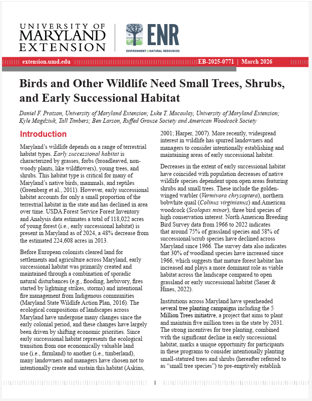 Cover page of EB-1015-0771, "Birds and Other Wildlife Need Small Trees, Shrubs, and Early Successional Habitat"