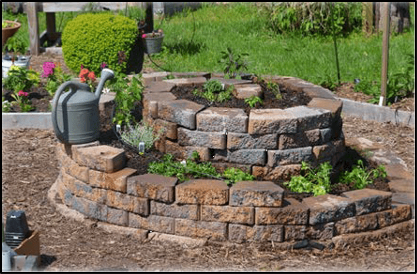 Completed herb spiral with newly planted herbs
